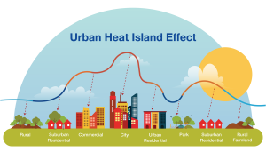 graphic image showing how heat accumulates in urban areas
